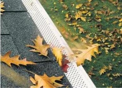 Gutters and Leaf Relief